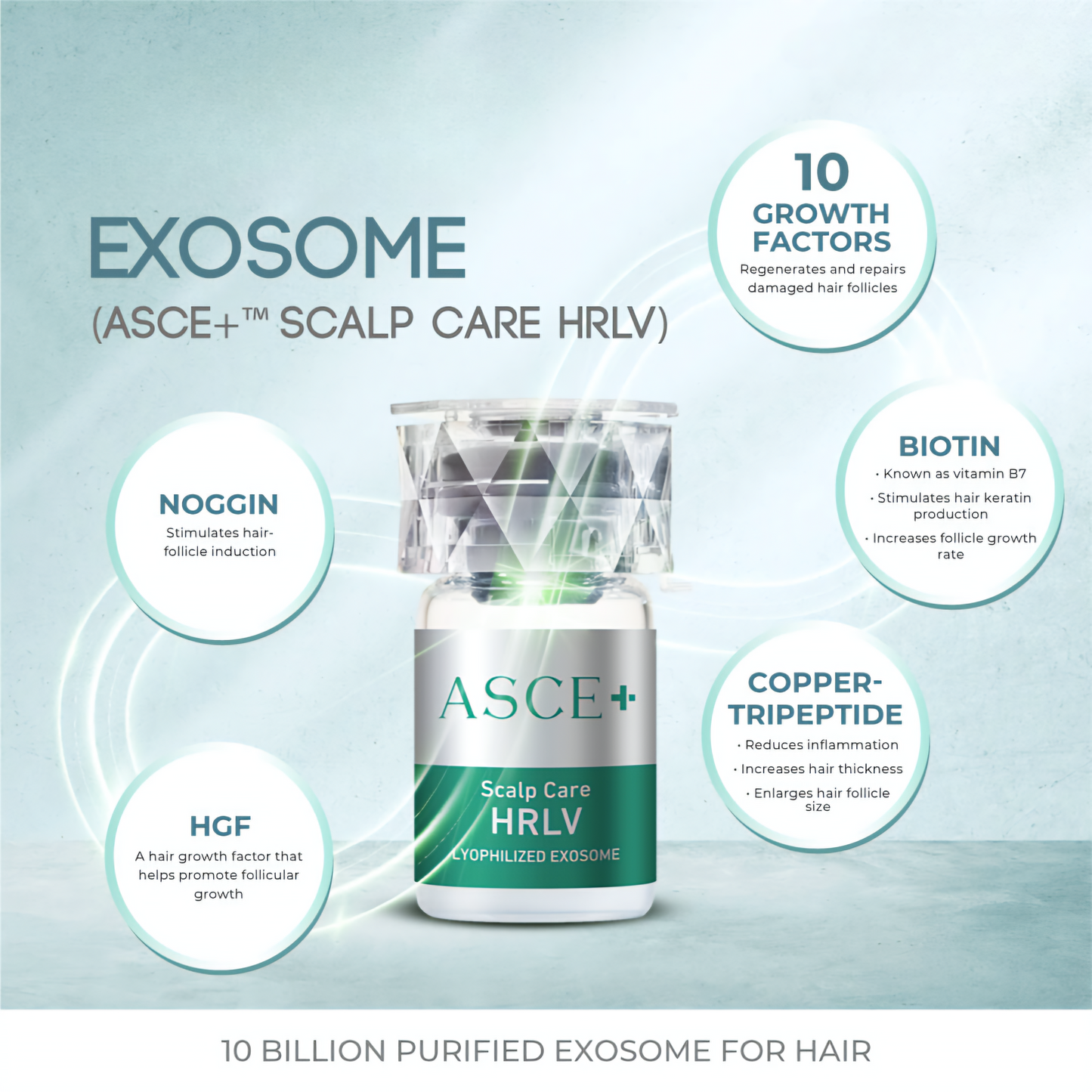 ASCE Scalp Hair HRLV | Exosomes