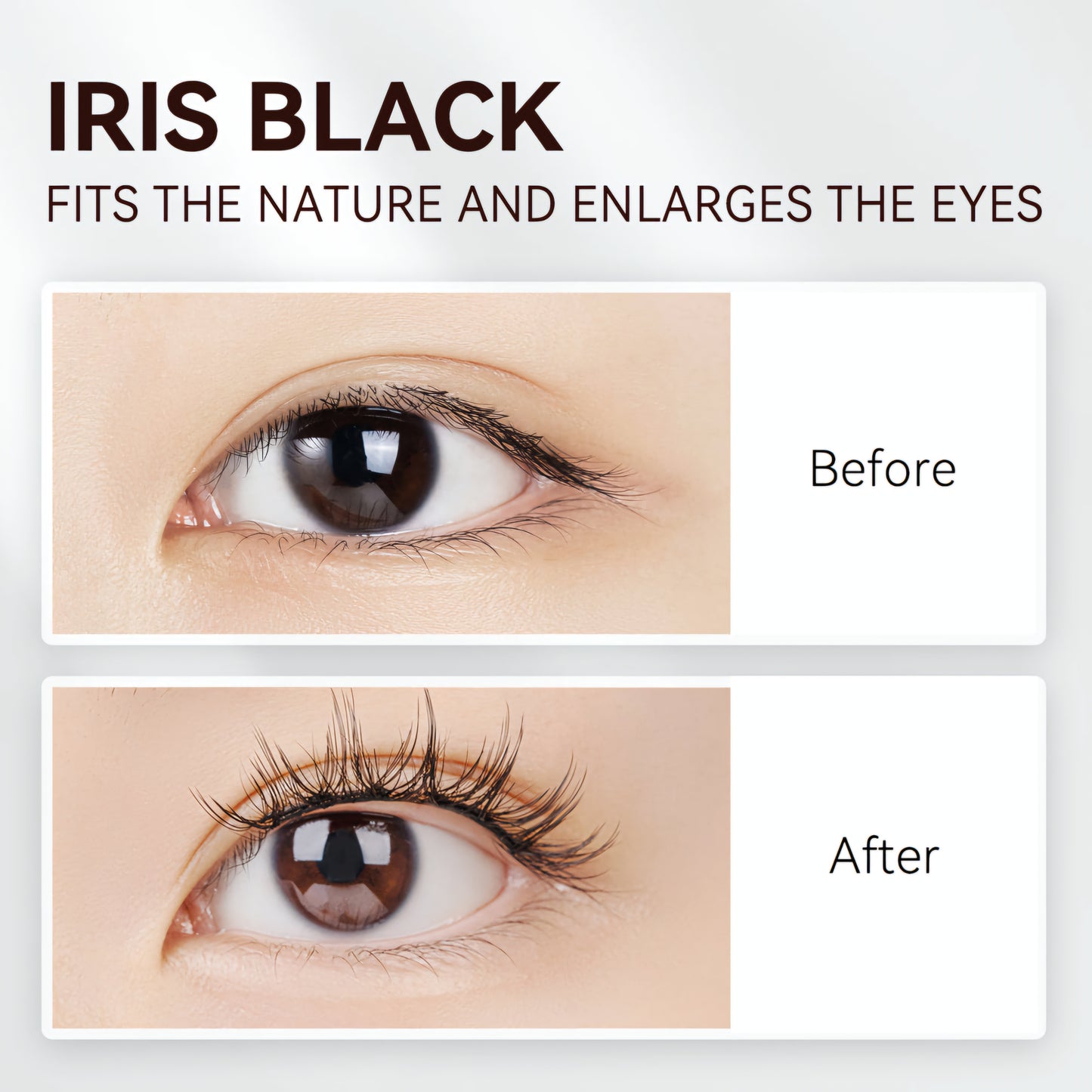 WOSADO® NO.12+ Irish Black Soft Magnetic Eyelashes – Upgraded All-in-One Box