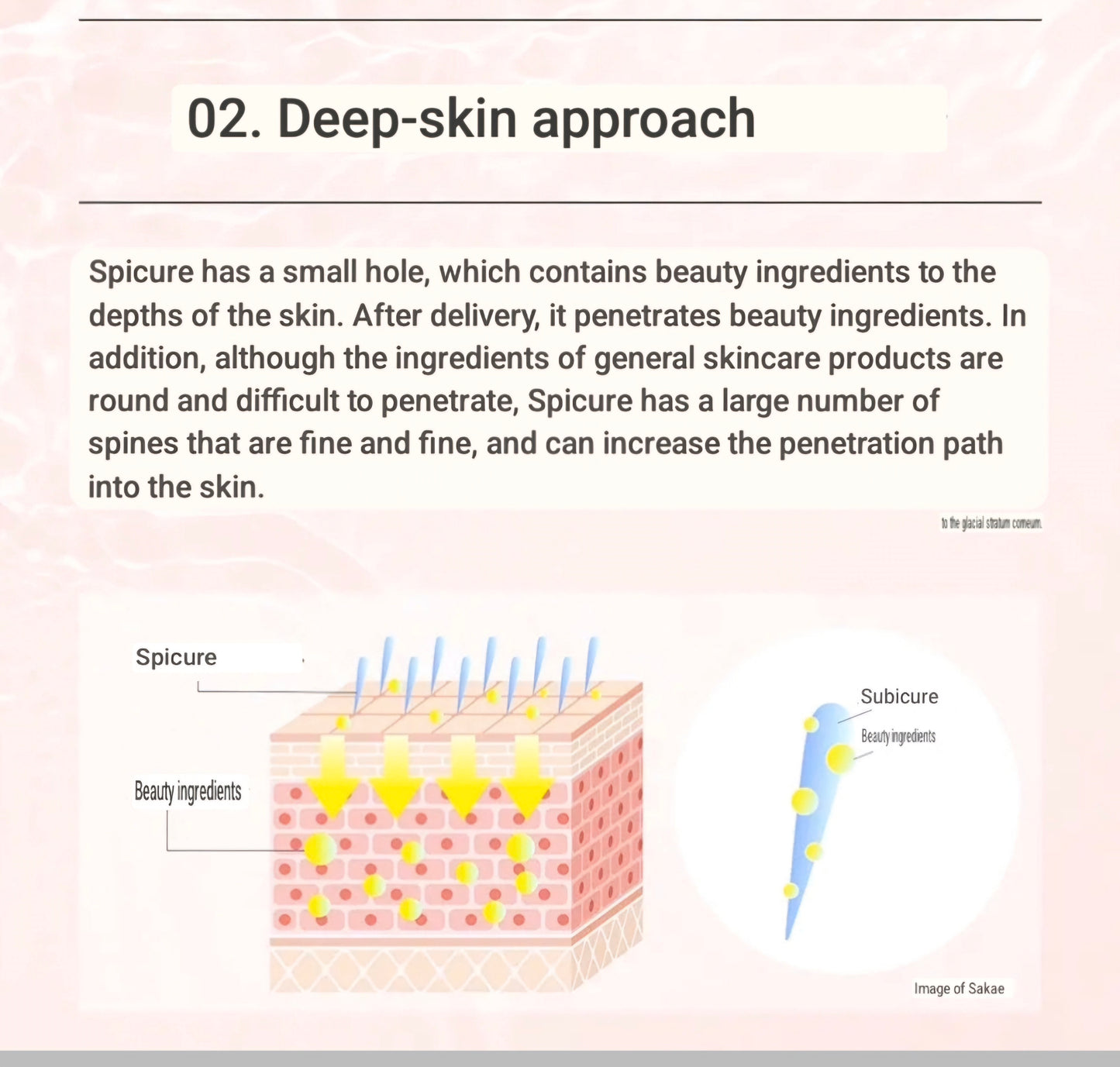 Make.IN Human Stem Cells Balancing Serum | 50ml