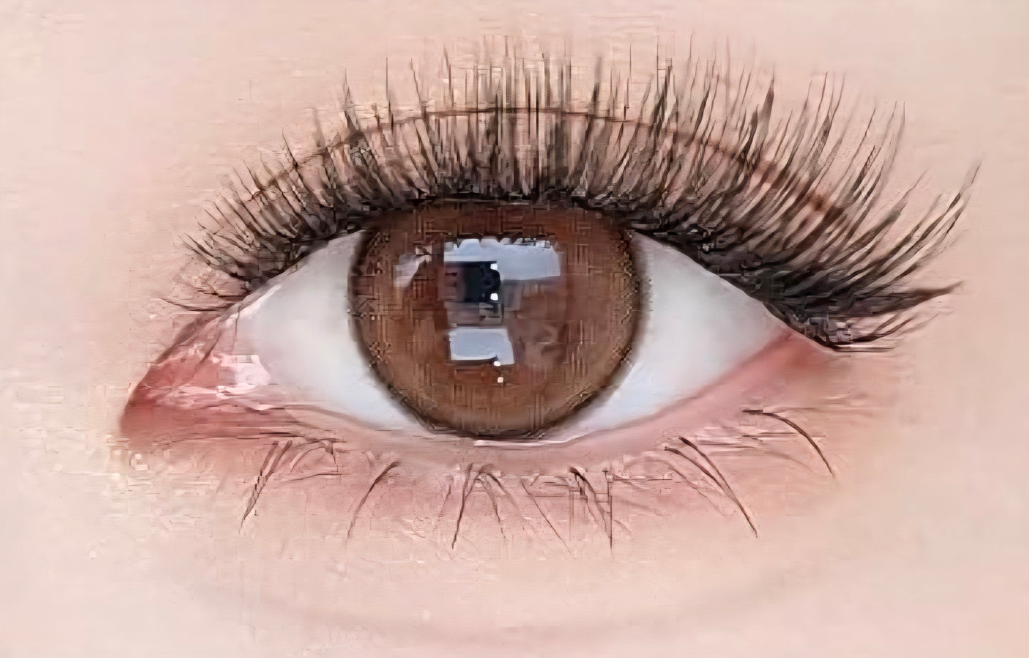 Queen's Power | Galactic Black Curl | Magtenic Eyelashes