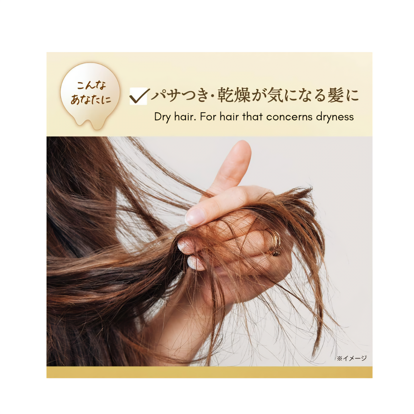 LUX Super Rich Shine Moisturizing Hair Treatment | For Dry & Damage Hair | 300G