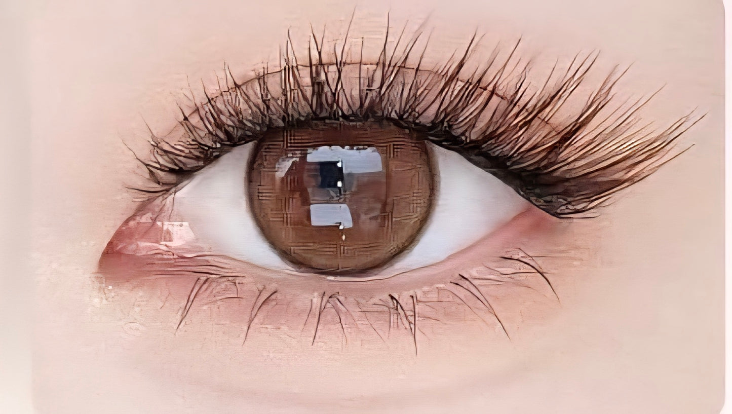 Sweet Cat | Black Brown | Magnetic Eyelashes