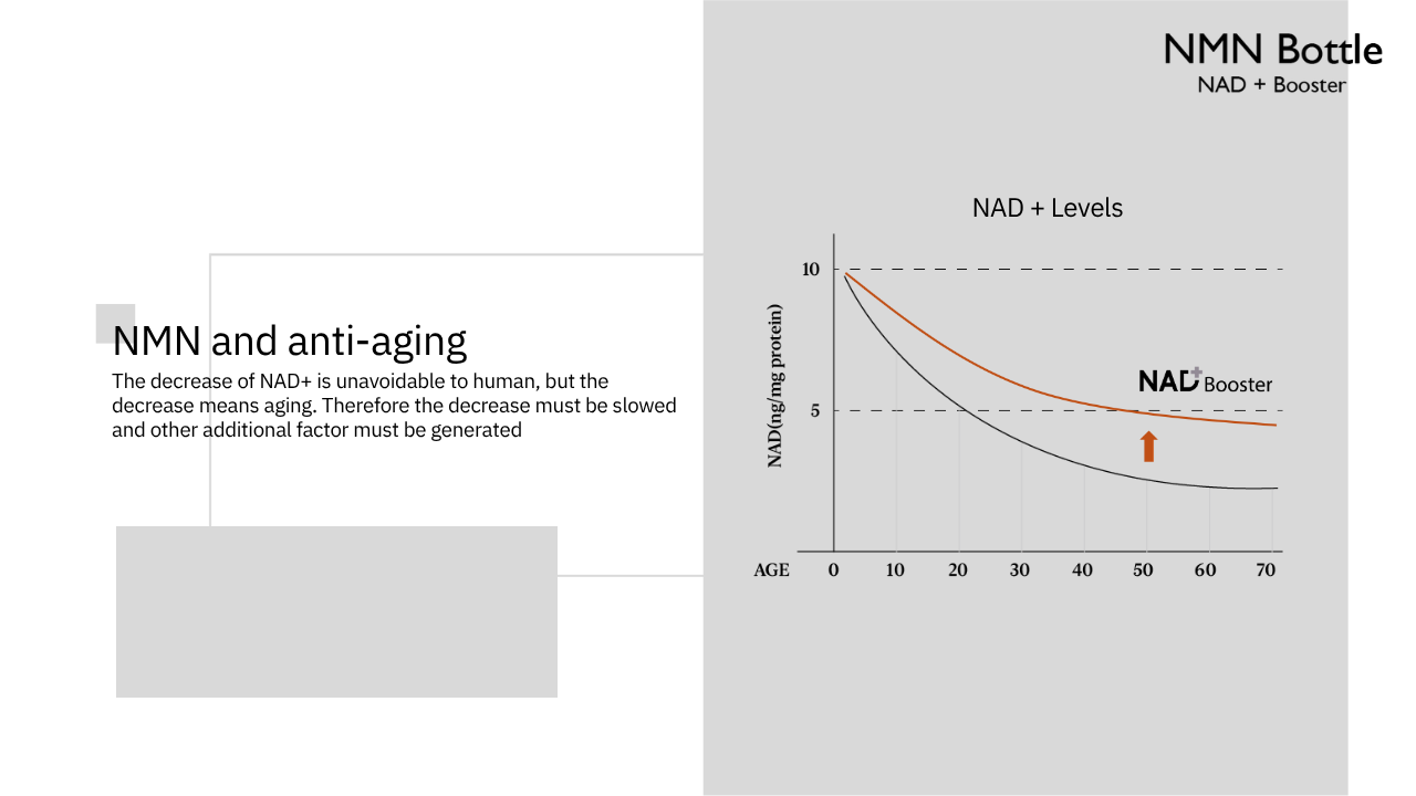 NAD+ Skin Booster | 5ml x 10