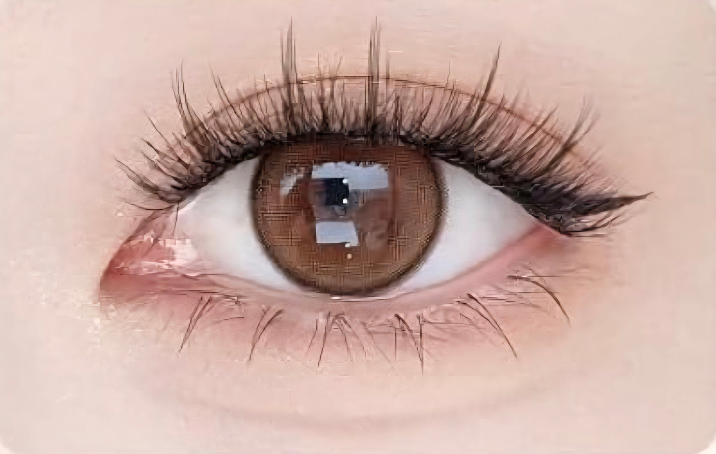 Dazzling Fairy | Misty Black Brown | Magnetic Eyelashes