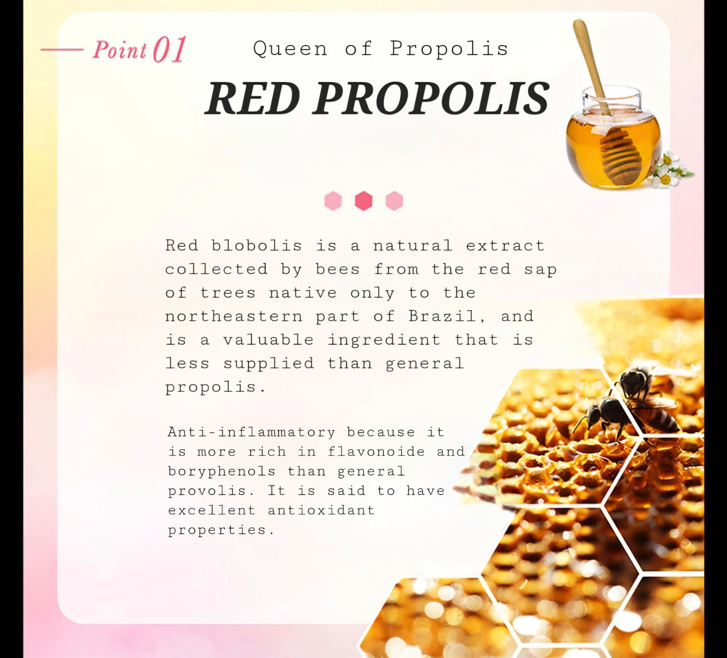 Make.IN Red Propolis Honey Moist Face Mask