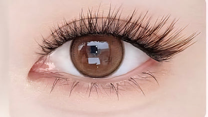 Sweet Cat | Black Brown | Magnetic Eyelashes